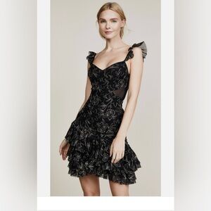 NWT Cinq À Sept Enid Metallic Ruffled Embroidered Tulle Mini Dress | Size 8